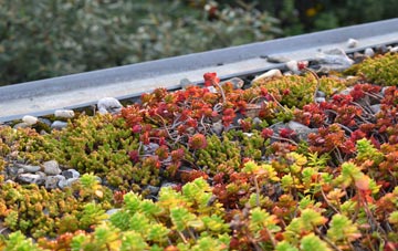 the cost of Cairnbulg green roof installation