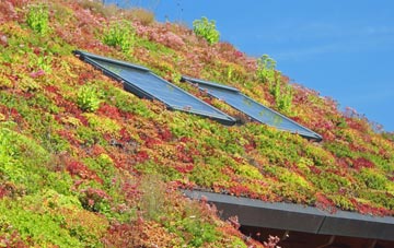 Cairnbulg living roof systems
